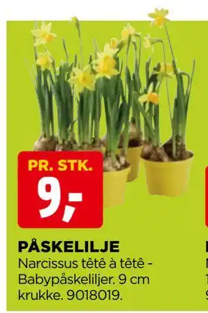 jem & fix PÅSKELILJE tilbud