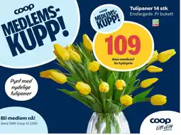 Coop Extra Tulipaner 14 stk tilbud