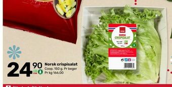 Matkroken Norsk crispisalat tilbud