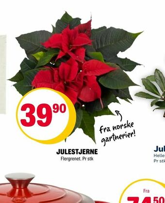 Coop Extra Julestjerne tilbud