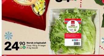 Coop Marked Norsk crispisalat tilbud