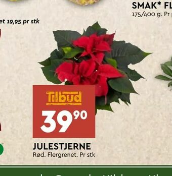 Coop Mega Julestjerne tilbud
