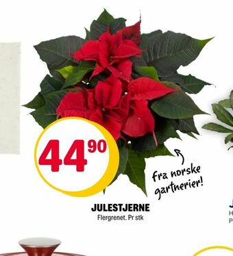 Coop Extra Julestjerne tilbud