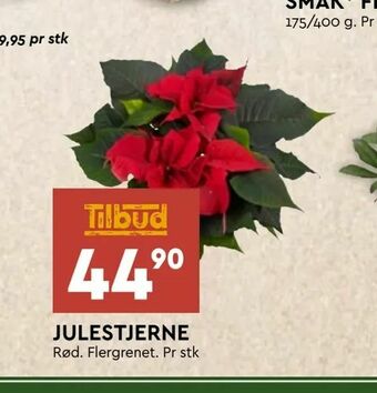 Coop Mega Julestjerne tilbud