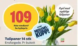 Coop Mega Tulipaner 14 stk tilbud