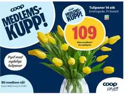 Coop Extra Tulipaner 14 stk tilbud