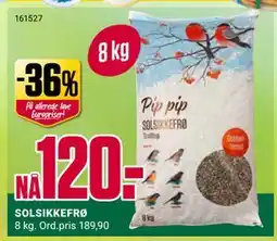 Europris SOLSIKKEFRØ tilbud