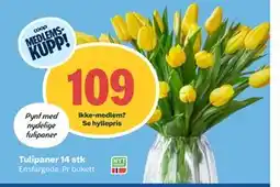 Coop Obs Tulipaner 14 stk tilbud