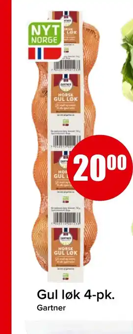 Spar Gul løk 4-pk. tilbud