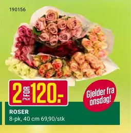 Europris ROSER tilbud