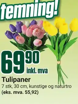 Europris Tulipaner tilbud