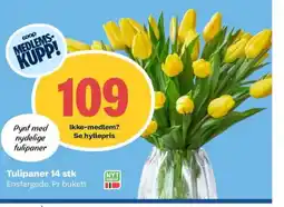 Coop Obs Tulipaner 14 stk tilbud