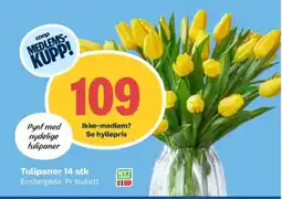 Coop Obs Tulipaner 14 stk tilbud