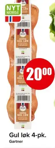 Spar Gul løk 4-pk. tilbud