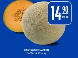Rema 1000 Cantaloupe melon tilbud