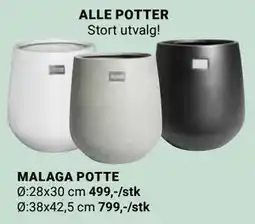 Europris MALAGA POTTE tilbud