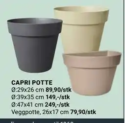 Europris CAPRI POTTE tilbud