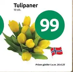 Joker Tulipaner tilbud