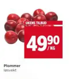 Meny Plommer tilbud