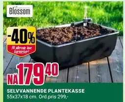 Europris SELVVANNENDE PLANTEKASSE tilbud