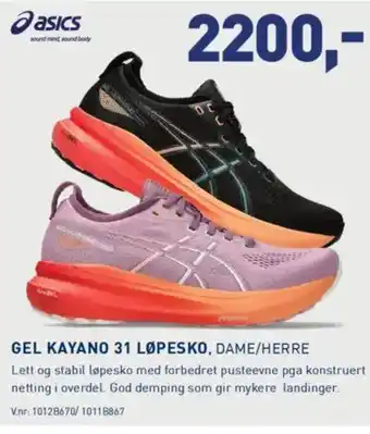 Intersport GEL KAYANO 31 LØPESKO, DAME/HERRE tilbud