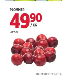 Jacobs PLOMMER tilbud