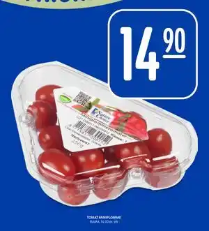 Rema 1000 TOMAT MINIPLOMME tilbud