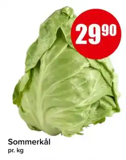 Spar Sommerkål tilbud