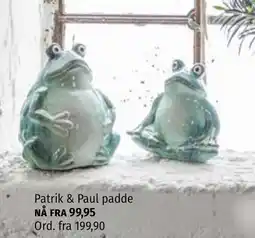Nille Patrik & paul padde tilbud