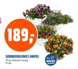 Coop Obs SOMMERBLOMST AMPEL tilbud