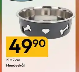 Gigaboks Hundeskål tilbud