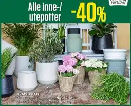 Europris DRÅPE POTTE tilbud