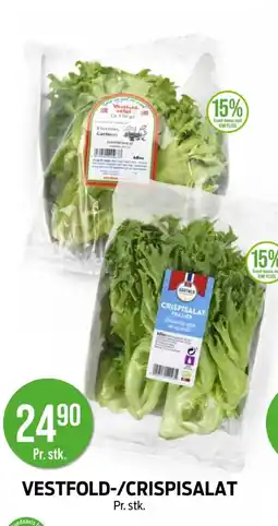 Kiwi VESTFOLD-/CRISPISALAT tilbud