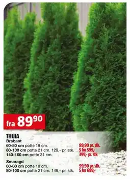 Bauhaus THUJA tilbud