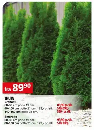 Bauhaus THUJA tilbud