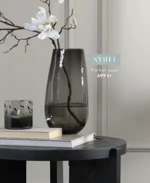 Skeidar Parker vase tilbud