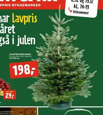 jem & fix Juletre/edelgran tilbud