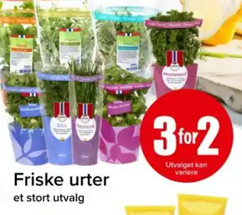 Spar Friske urter tilbud