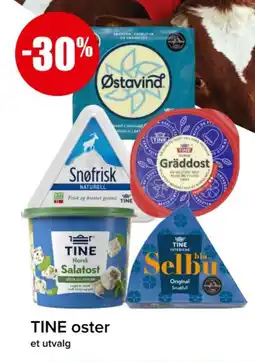 Spar TINE Oster tilbud