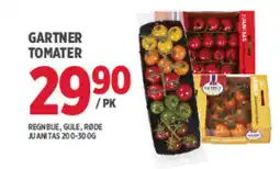 Jacobs GARTNER Tomater tilbud