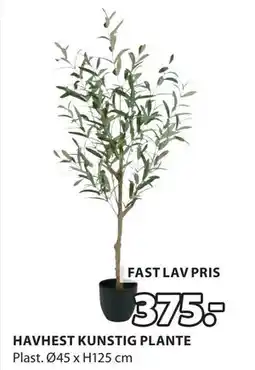 JYSK HAVHEST KUNSTIG PLANTE tilbud