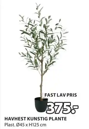 JYSK HAVHEST KUNSTIG PLANTE tilbud