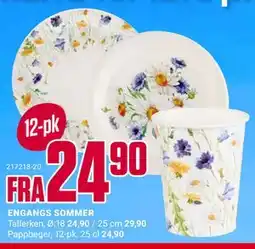 Europris ENGANGS SOMMER tilbud