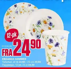 Europris ENGANGS SOMMER tilbud