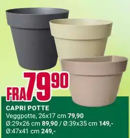 Europris CAPRI POTTE tilbud