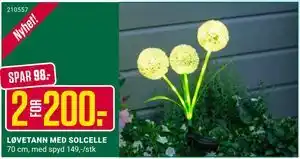 Europris LØVETANN MED SOLCELLE tilbud