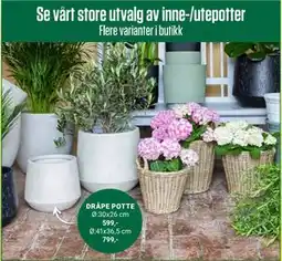 Europris DRÅPE POTTE tilbud