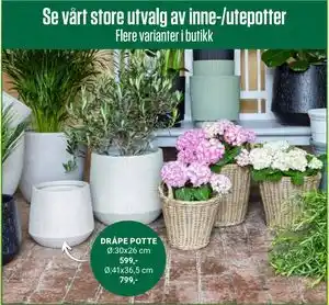 Europris DRÅPE POTTE tilbud