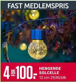 Europris HENGENDE SOLCELLE tilbud