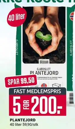 Europris PLANTEJORD tilbud